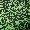 Acid Paisley Jersey Flares