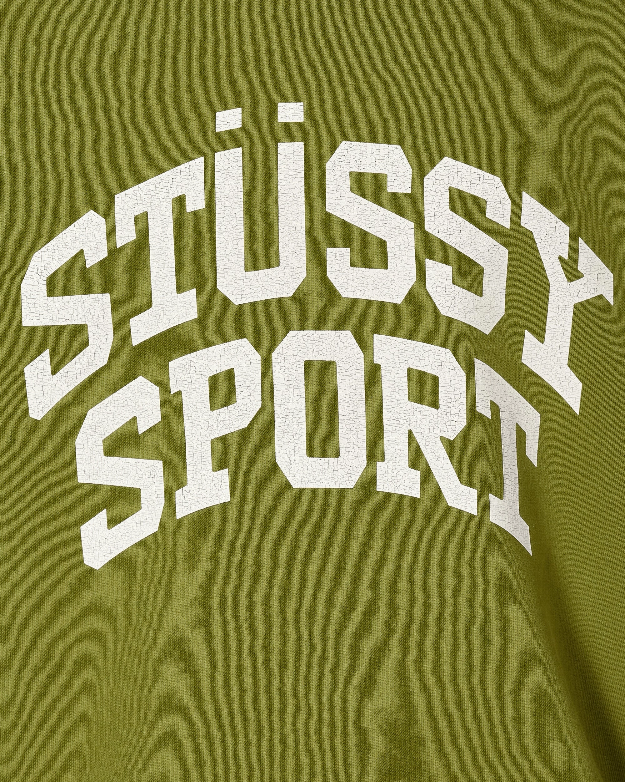Big Crackle Sport Crewneck Sweatshirt Green