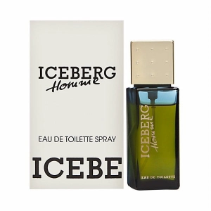 Iceberg by Iceberg