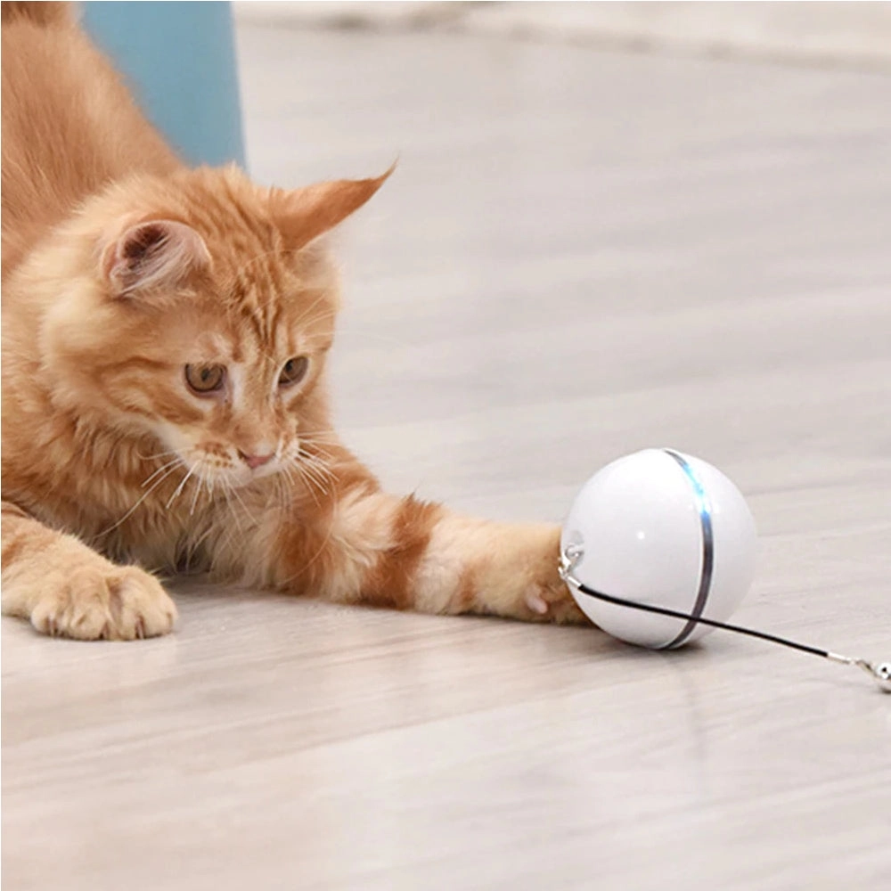 Led Light 360 Degree Self Rotating Ball Pets