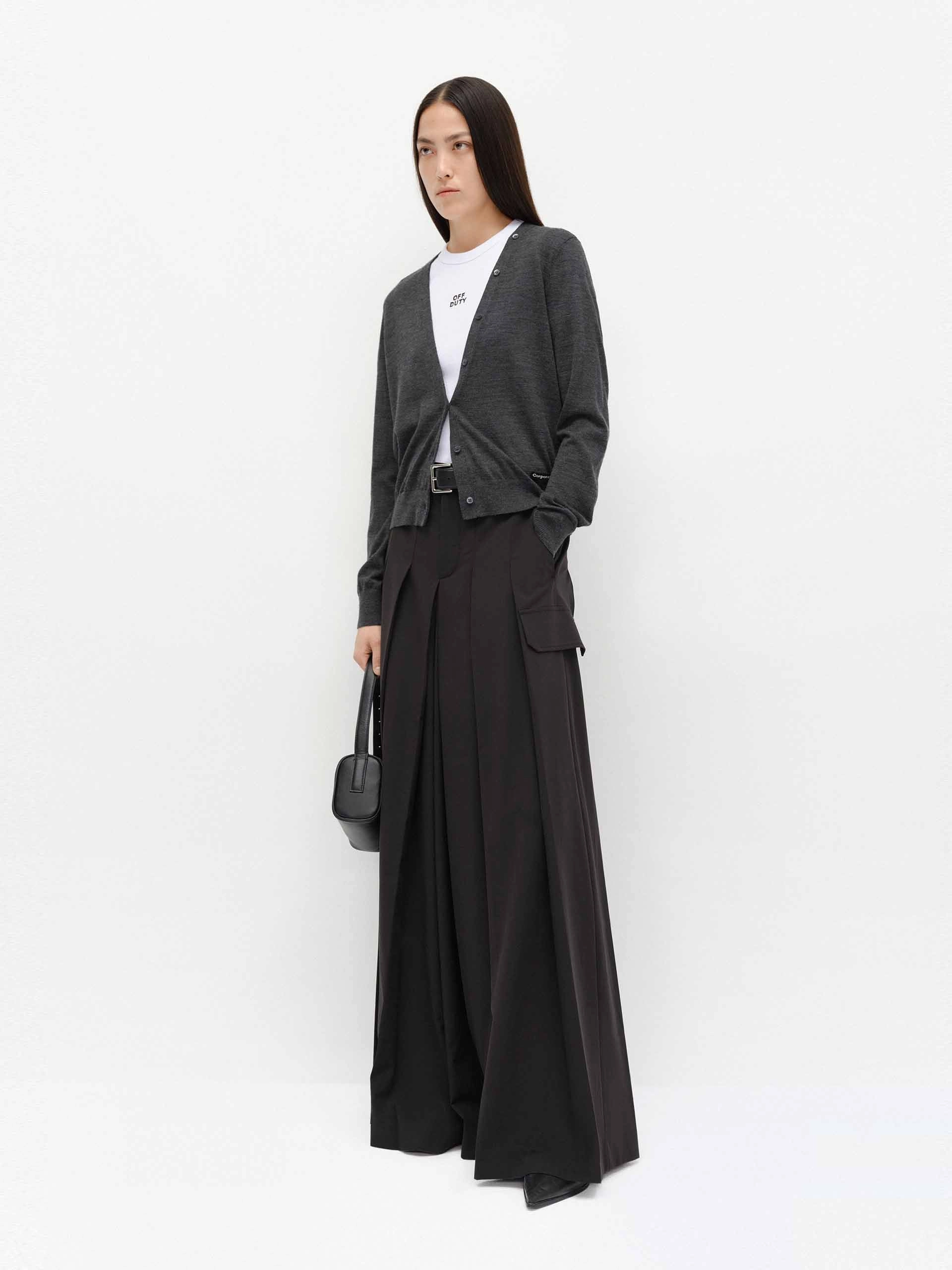 Wide Leg Pleated Pants