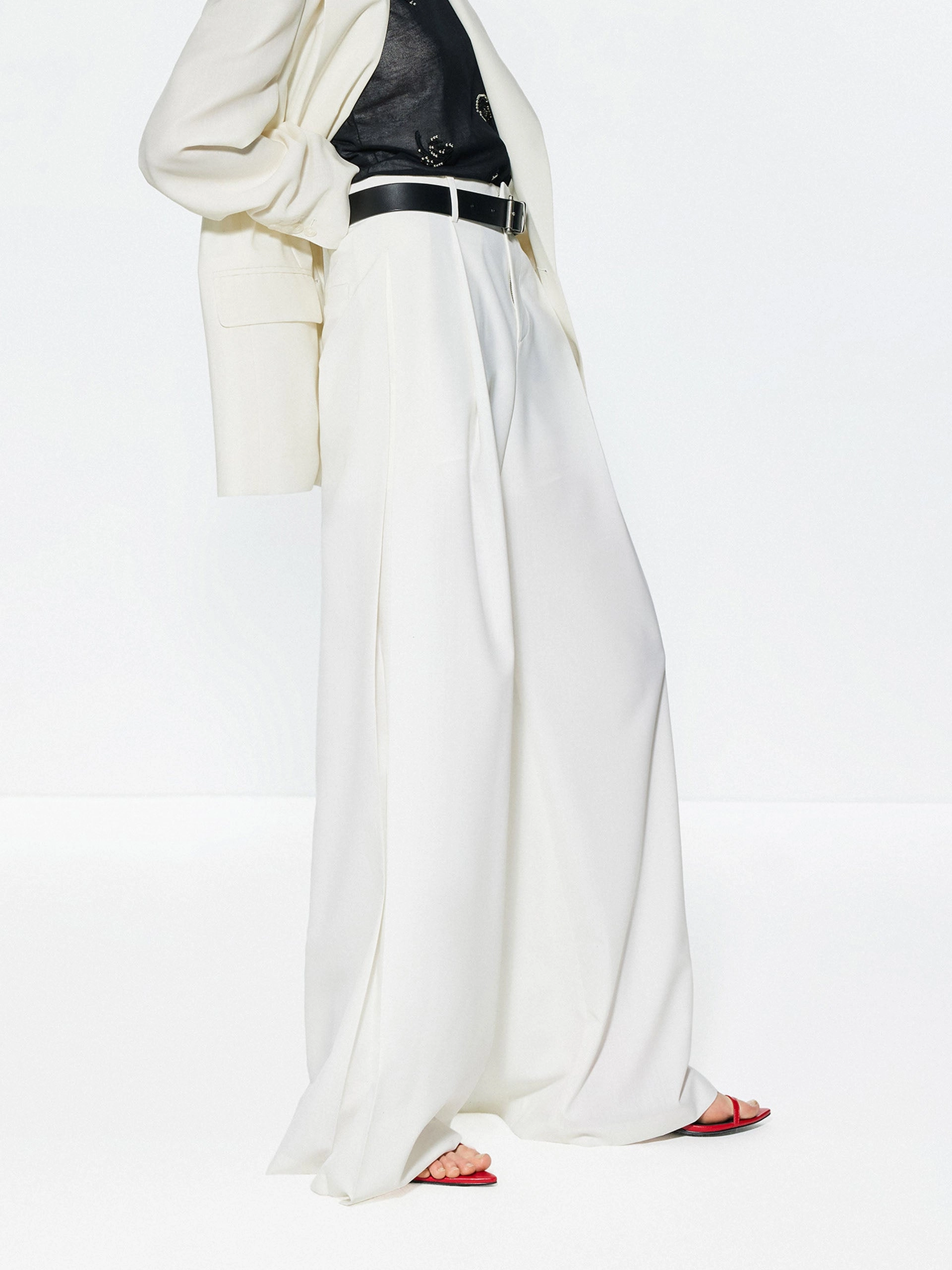 Wool Blend Wide Leg Pants